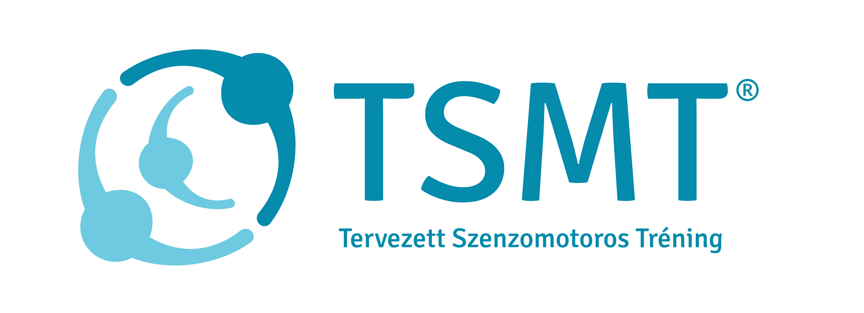 TSMT Modell