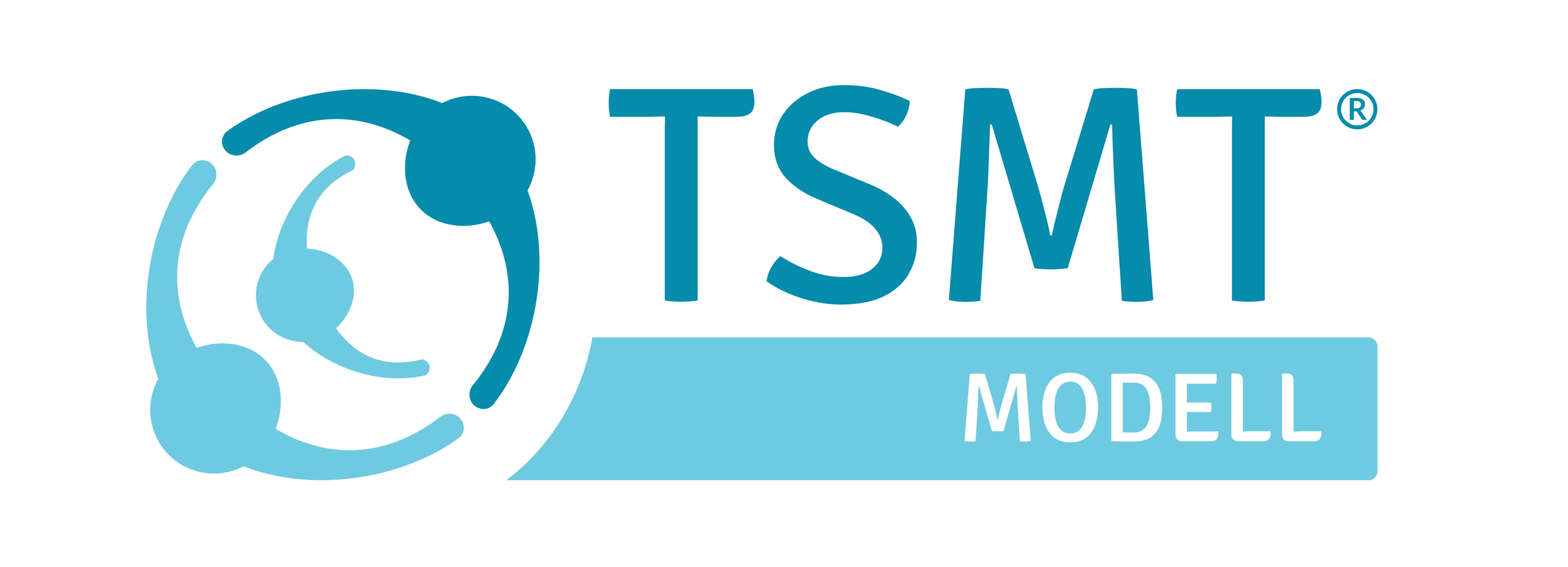 TSMT Modell