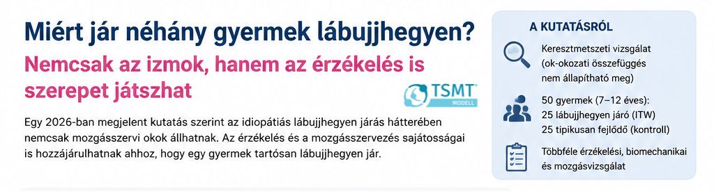Miért jár néhány gyermek lábujjhegyen? – Nemcsak az izmok, hanem az érzékelés is szerepet játszhat